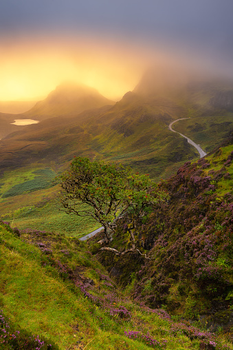 Beautiful golden sunrise light breaking through the misty low clouds, revealing a magical view of The Quiraing; a popular tourist destination on The Isle of Skye in the Scottish Inner Hebrides.