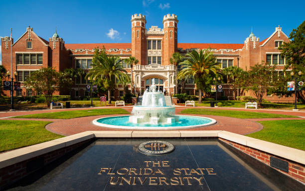 florida state university - florida state foto e immagini stock