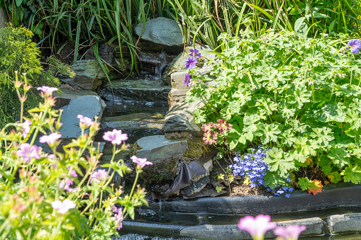 Beautiful pond in a backyard surrounded with stone during summer
