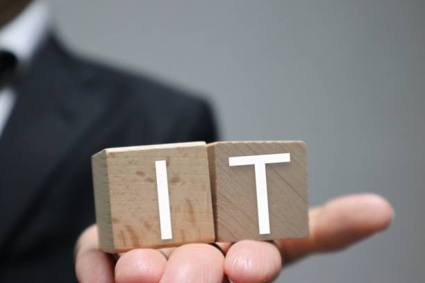 istock A person with a building block written as IT 1616722084