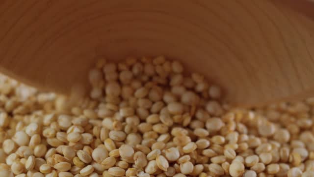 Raw quinoa kernels are heaped into a wooden spoon. Cereal seeds close-up. Macro