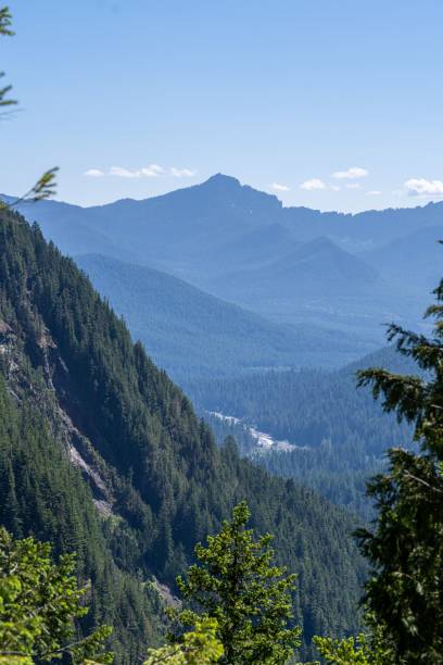 istock Vertical of Mount Rainer National Park in Washington 1616753868