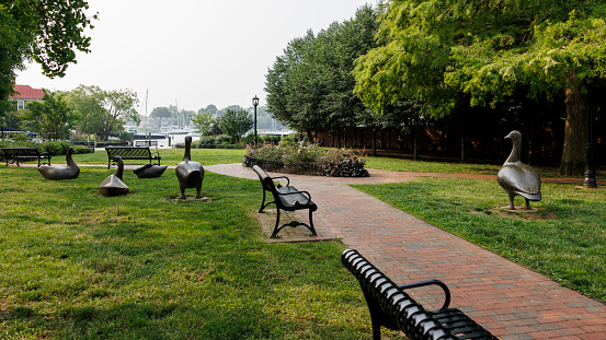 Annapolis, Maryland, USA - June 30, 2023: Acton's Cove Waterfront Park with metal geese figures near the benches under the smokey sky - the aftermath of Canadian wildfires.