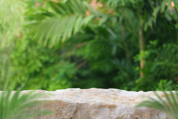 istock Stone podium tabletop floor outdoors blurred green palm leaf tropical forest plant nature background.Beauty cosmetic natural product placement pedestal display,jungle summer concept. 1616780858