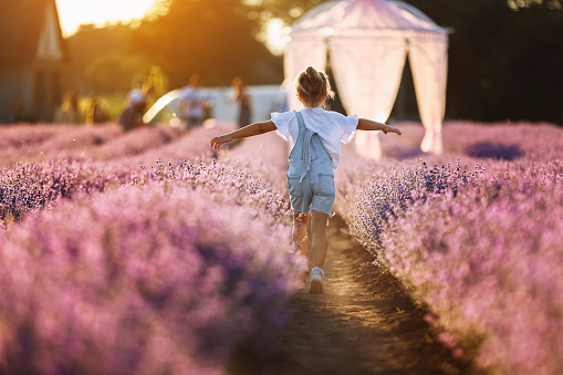 Back view of happy child girl runs raising her hands like flying plane in lavender field on summer warm day. Hyperactive little kid in sunglasses dreams of flying in nature. Children's fantasies
