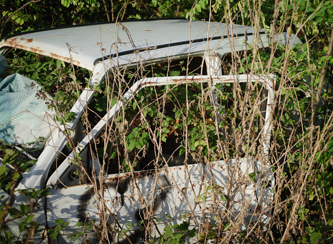 Wrecked abandoned car in the outdoors.