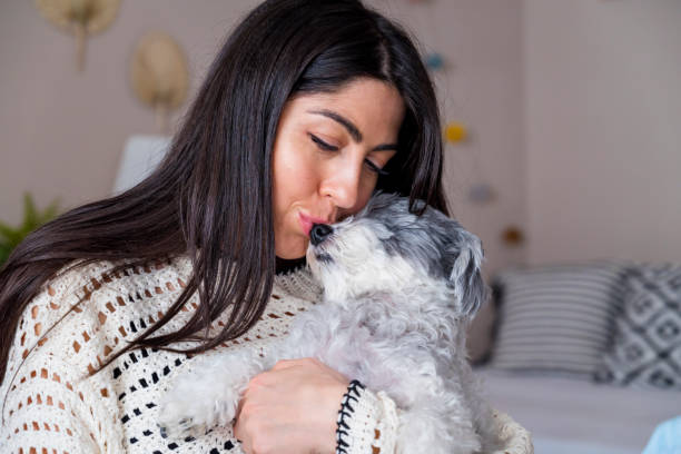 istock Woman Hugging her Havanese  Dog at home 1616849453