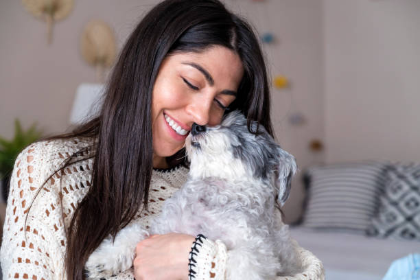 istock Woman Hugging her Havanese  Dog at home 1616849468