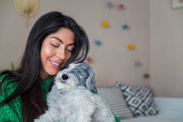 istock Woman Hugging her Havanese  Dog at home 1616852142