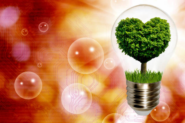 istock Image  with a light bulb inside which a tree is symbolically placed, and the crown of the tree looking like a heart 1616865468