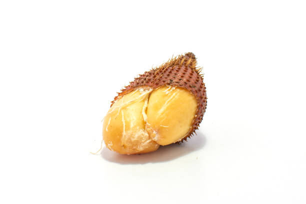 Salak,Salacca zalacca, or snake fruit isolated on white background.