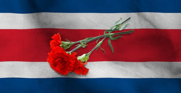 istock three red carnations lying on the flag of Costa Rica 1616866599