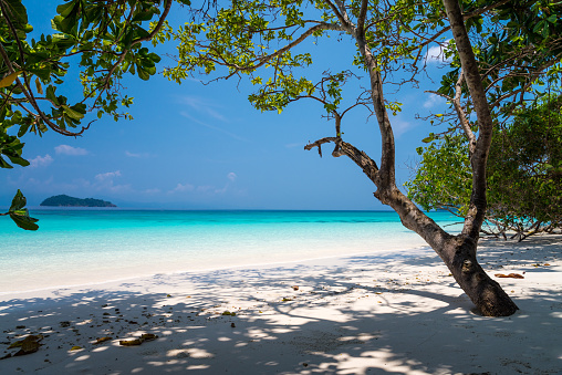 Hermosa isla tropical playa de arena blanca mar de Andamán en cielo azul día soleado. photo