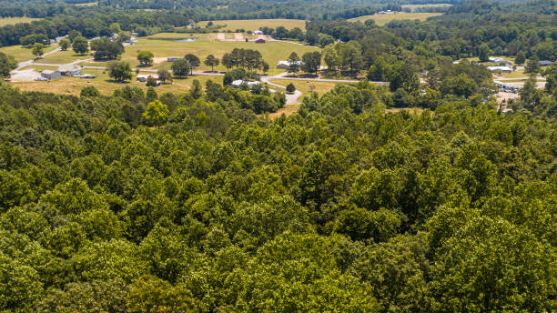 small rural town addison, alabama, is visible over a forest on a sunny summer day. aerial drone-made view. - town rural scene road new england imagens e fotografias de stock