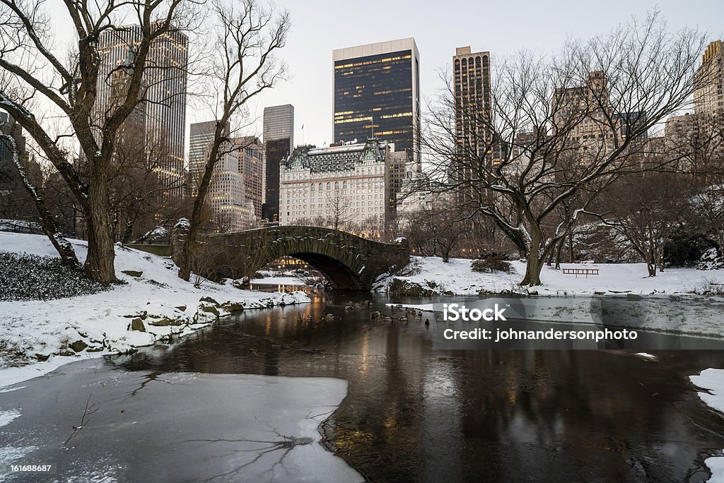Central Park - Foto stock royalty-free di Ambientazione esterna