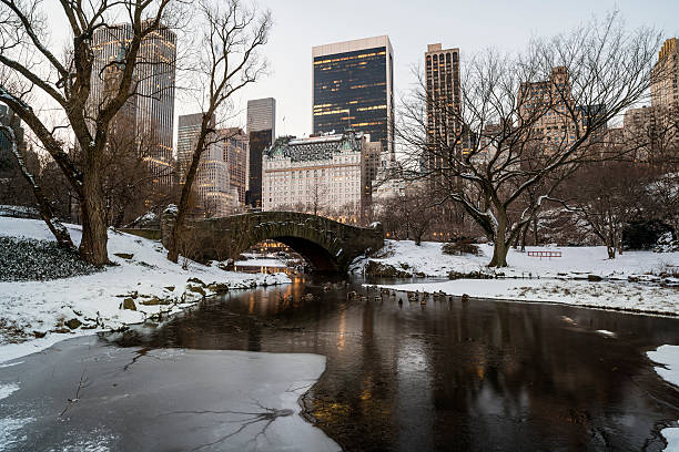 istock Central Park, New York City 161688687