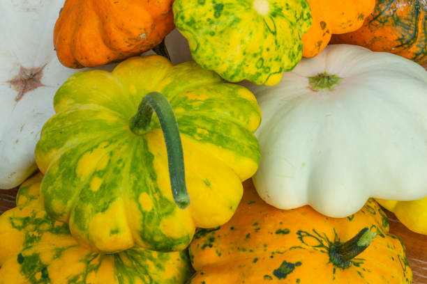 istock multicolored pumpkin close-up, autumn composition, top view, Thanksgiving day 1616943391