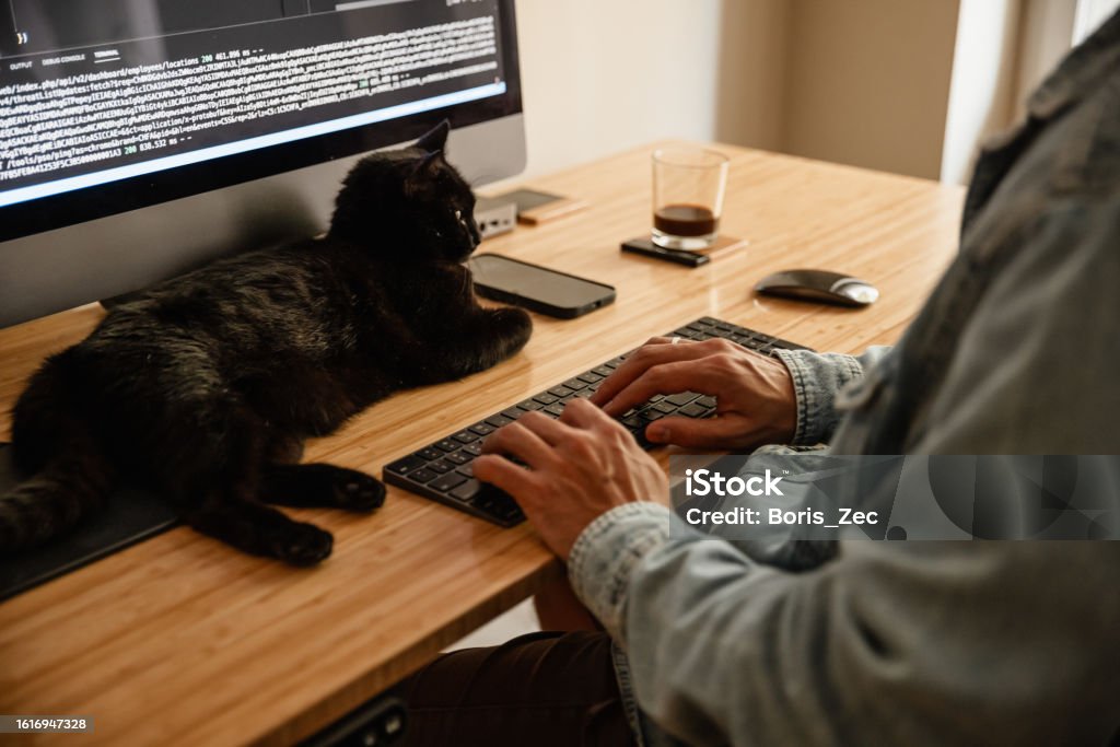 Software Dev Cat Developers Home Office Software Development While Working From Home And ...