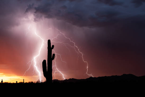 istock Lightning at sunset in the Arizona Desert 1616979457