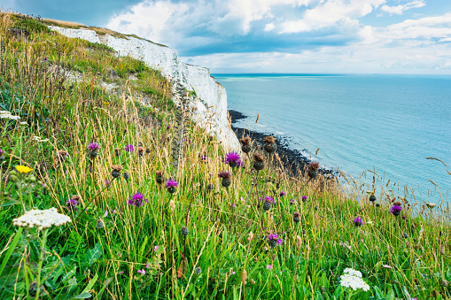 White Cliffs Dover England