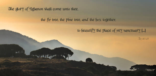 istock The Glory of Lebanon Bible Quote 1616991908