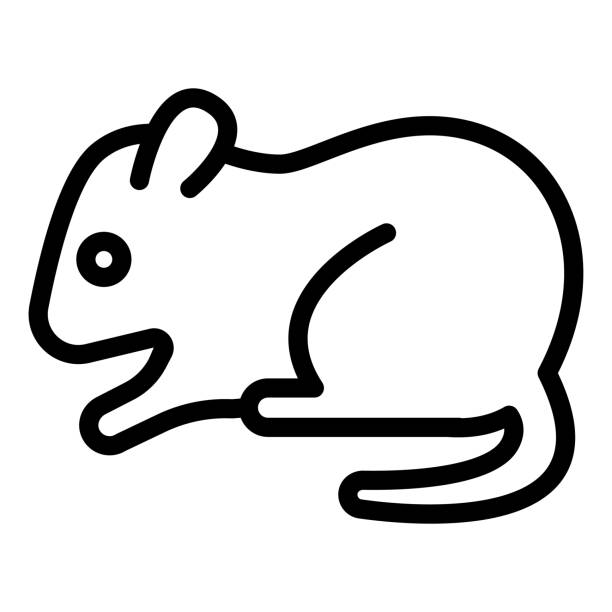 ilustrações, clipart, desenhos animados e ícones de ícone da linha do hamster, conceito de animais domésticos, sinal do roedor no fundo branco, ícone da silhueta do hamster no estilo do esboço do conceito móvel web design. desenho vetorial. - mouse computer mouse pets white background