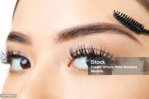 Young Woman Looking At The Camera In The Last Step Of Brushing Her Eyebrow Stock Photo - Download Image Now
