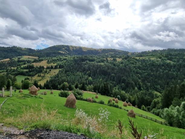 istock Haystacks in Ardeal 1617063330