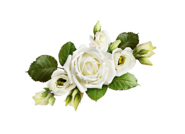 istock Bouquet of white roses and eustoma flowers isolated on white 1617074457