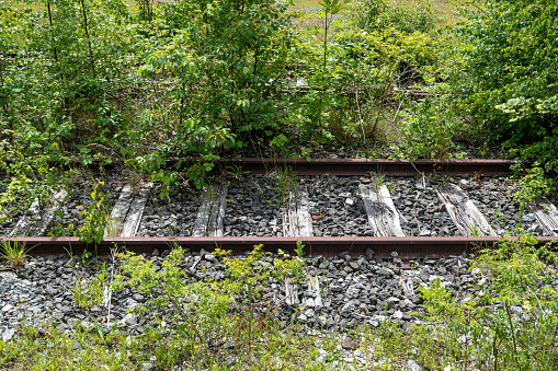 rusty rails with wooden sleepers and encroaching vegetation