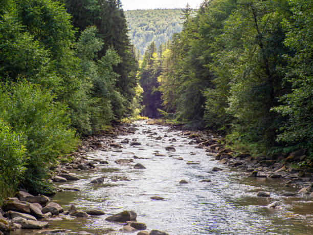 istock Small river flowing rapidly and vividly through its wild stony valley 1617078760