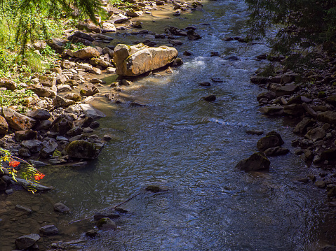 Small river flowing rapidly and vividly through its wild stony valley. Wild hardwood forest accompanies the river along its path. Large dislocated boulders populate the riverbed. Carpathians, Ukraine