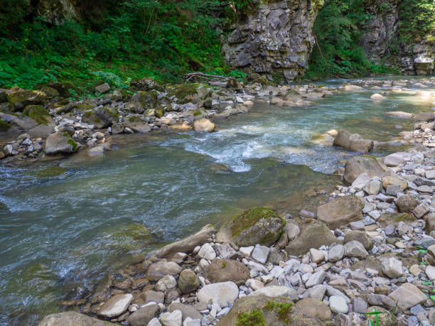 istock Small river flowing rapidly and vividly through its wild stony valley 1617083040