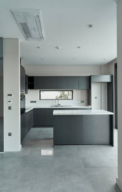 istock gray kitchen of a luxury house 1617098750
