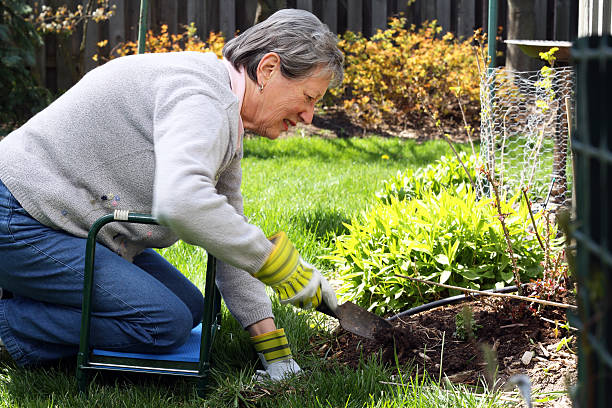 istock Senior Woman Gardening 161710622