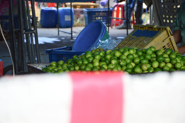 Tropical fruits are sold in the Mekong Delta