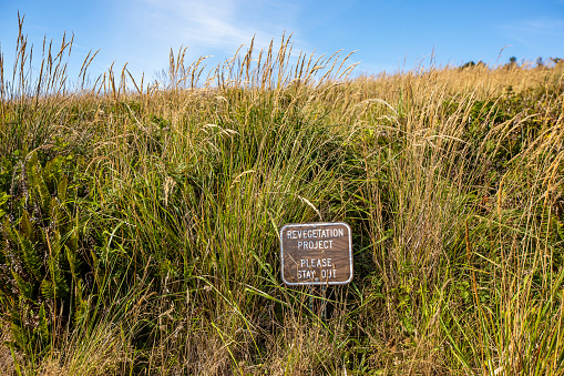 Nature views at Cape Disappointment Park, August 2023