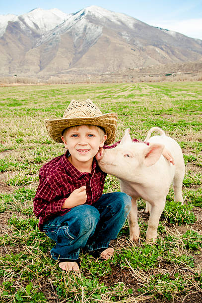 boy and pet pig stock photo