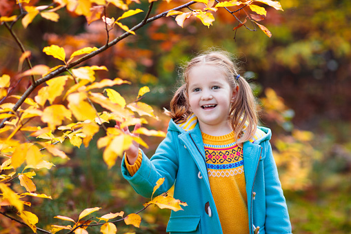 Kids play in autumn park. Children throwing yellow and red leaves. Little girl with oak and maple leaf. Fall foliage. Family outdoor fun in autumn. Toddler kid or preschooler child in fall.