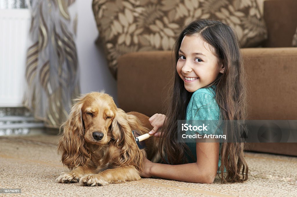 Das Mädchen ist Kämmen Hund - Lizenzfrei Hund Stock-Foto