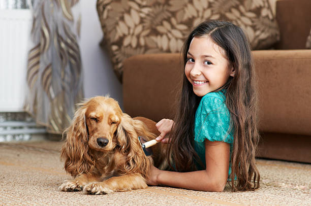 istock The girl is combing dog 161716191