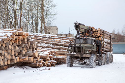 Log loader track with timber in lumber-mill in winter season