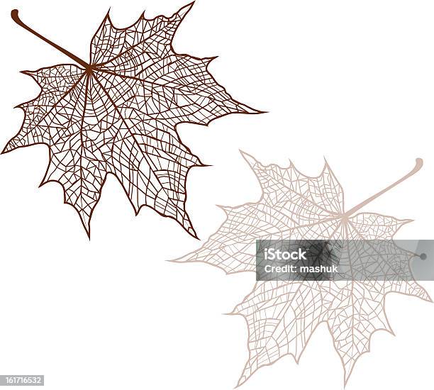 Maple Leaf Stock Illustration - Download Image Now - Maple Leaf, Autumn, Chestnut Tree