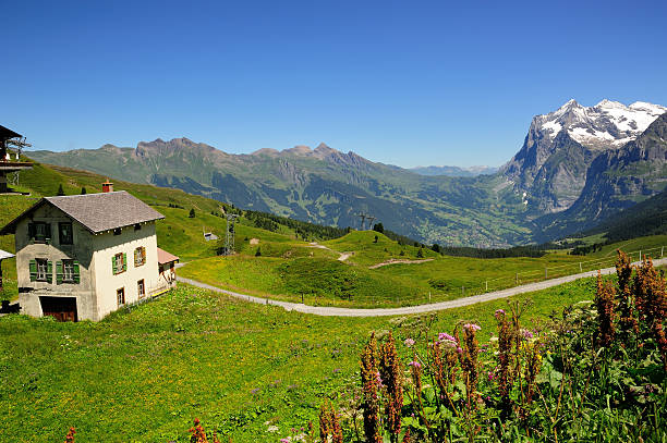 швейцарских гор региона бернский альпы - mountain switzerland scuol mountain peak стоковые фото и изображения