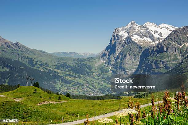Schweizer Mountains In Der Berner Alpen Stockfoto und mehr Bilder von Alpen - Alpen, Ansicht aus erhöhter Perspektive, Baum