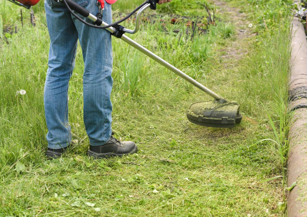 trabajador cortando césped alto con recortadora de césped eléctrica o de gasolina en el parque de la ciudad o en el patio trasero. proceso de corte de césped con cortadora de césped manual - hedge clippers weed trimmer grass lawn fotografías e imágenes de stock