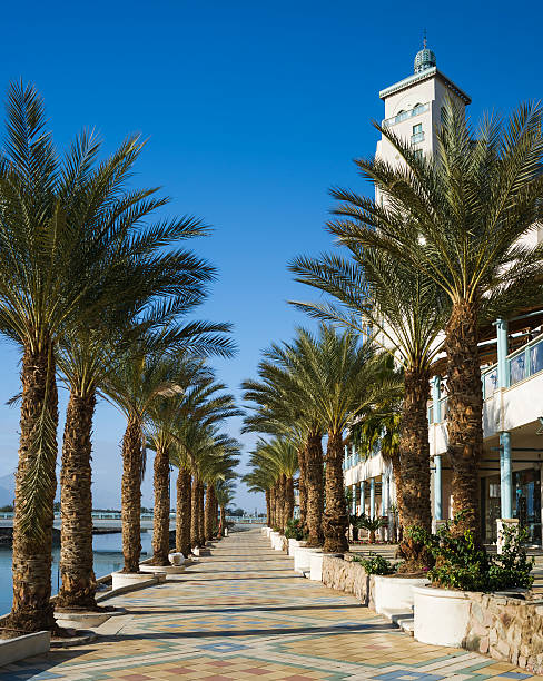 istock Marine promenade in Eilat 161716785