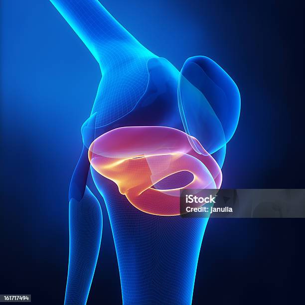 Meniscal Lesões - Fotografias de stock e mais imagens de Ferido - Ferido, Anatomia, Articulação - Parte do corpo