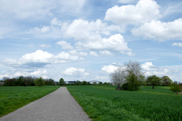 Rustic beautiful landscape path, green meadow and cumulus clouds