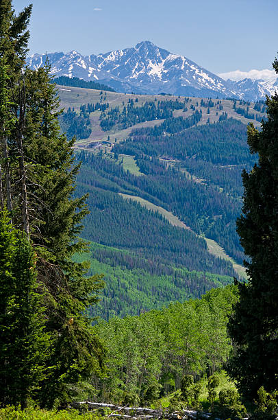 Mount of the Holy Cross Summer View